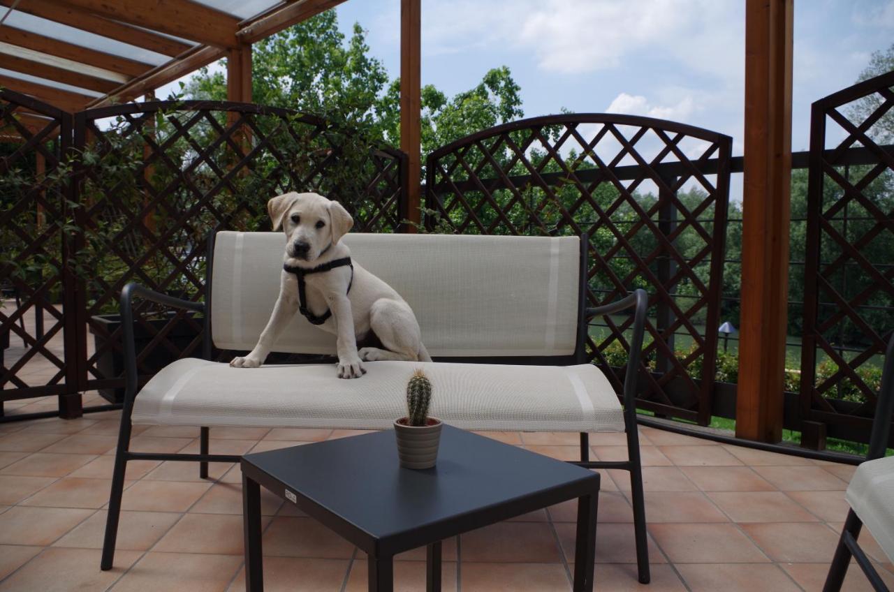 Best Quality Hotel La Darsena Moncalieri Exterior foto